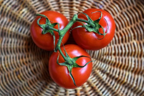 TOMATOES: THE RED BERRY AND ITS NUTRITIONAL VALUE